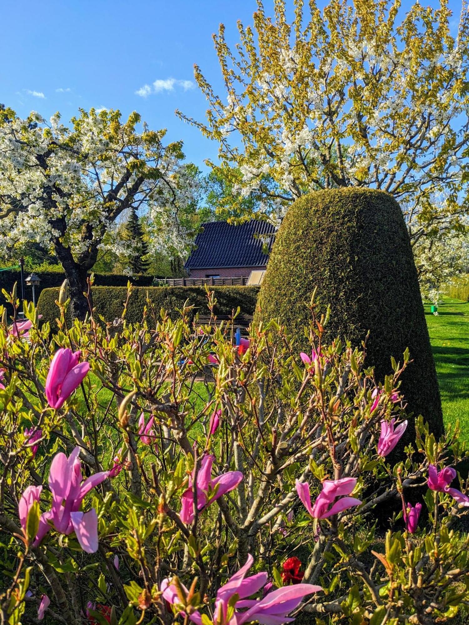Haeuschen Im Gruenen Villa Jornstorf Buitenkant foto