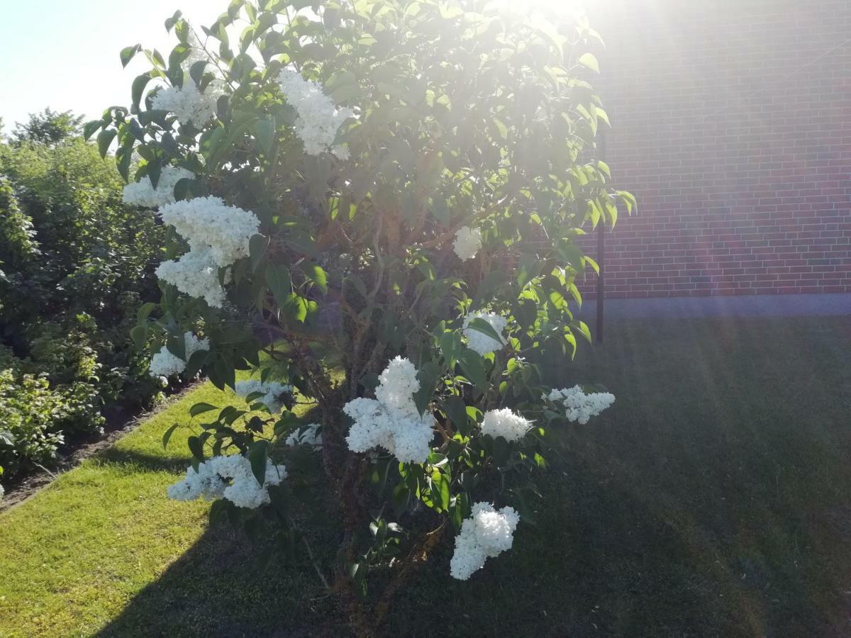 Haeuschen Im Gruenen Villa Jornstorf Buitenkant foto