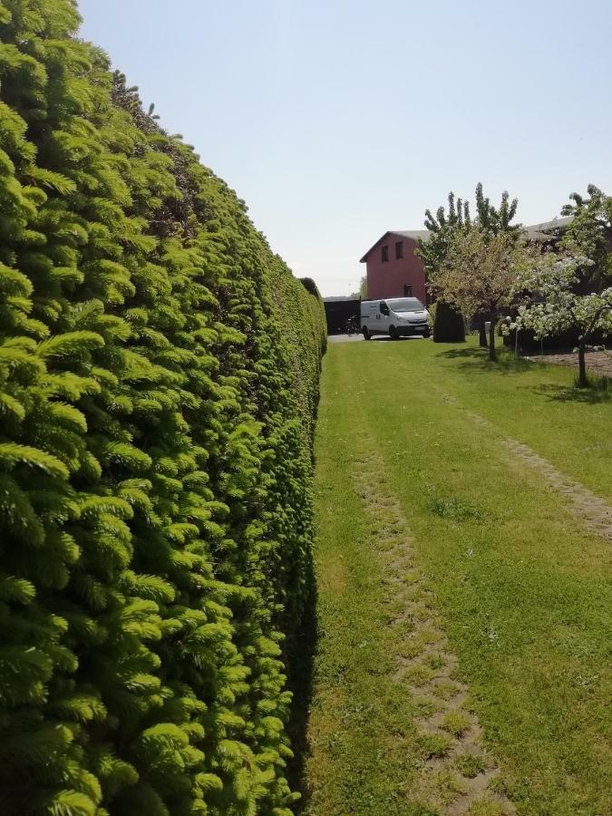 Haeuschen Im Gruenen Villa Jornstorf Buitenkant foto